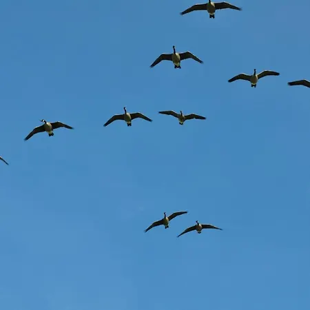 Bed & Breakfast Bed & Kitchen „den Gamle Skole“ Nr. Sejerslev *