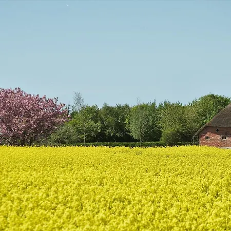 Bed & Kitchen „den Gamle Skole“ Nr. Sejerslev Bed & Breakfast *