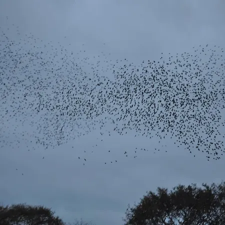 Oda ve Kahvaltı Bed & Kitchen „den Gamle Skole“ Nr. Sejerslev *