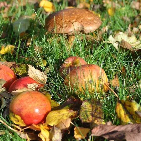Bed & Kitchen „den Gamle Skole“ Nr. Sejerslev Oda ve Kahvaltı