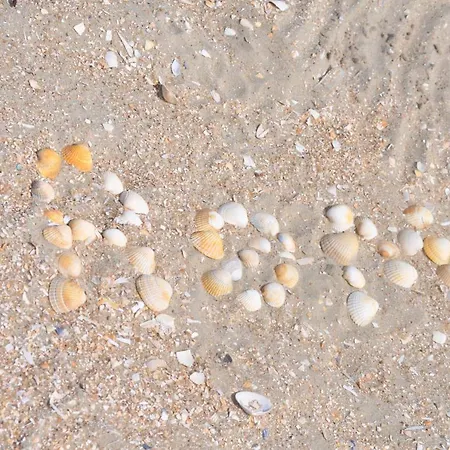 Bed & Kitchen „den Gamle Skole“ Nr. Sejerslev Oda ve Kahvaltı *