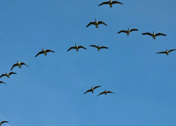 Bed & Breakfast Bed & Kitchen „den Gamle Skole“ Nr. Sejerslev *