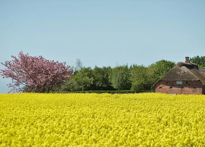 Bed & Kitchen „den Gamle Skole“ Nr. Sejerslev Bed & Breakfast *